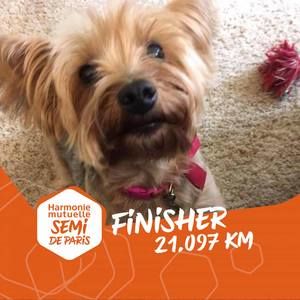 Meet your Posher, Carol